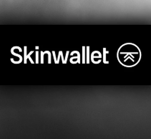 Tournament CS2 Skinwallet Cup FINAŁ